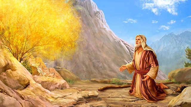 Authoritative Personal Name of God 1 29 Burning Bush