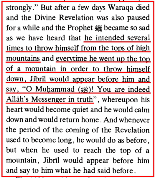 The History of Muhammad