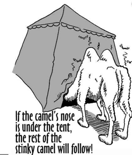 The Covert Trojan horse of Islamic Banking 2 28 Shariah is the enemy of Democracy