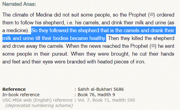 The Miracle of the Camel Urine 29 The Miracle of the Camel Urine