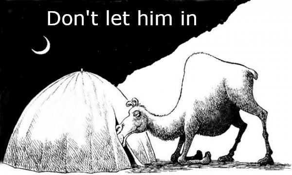 The Covert Trojan horse of Islamic Banking 2 30 Shariah is the enemy of democracy